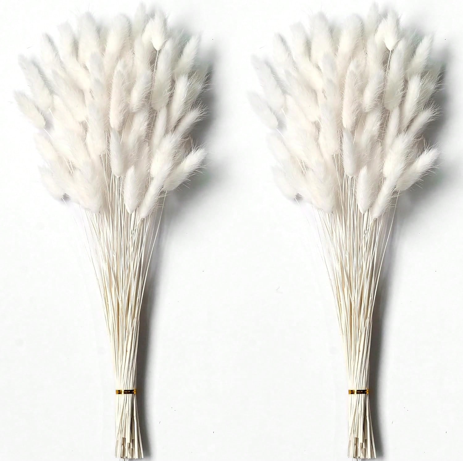 Pampas Grass Decor - 120 Buah Dekorasi Rumput Pampas Kering