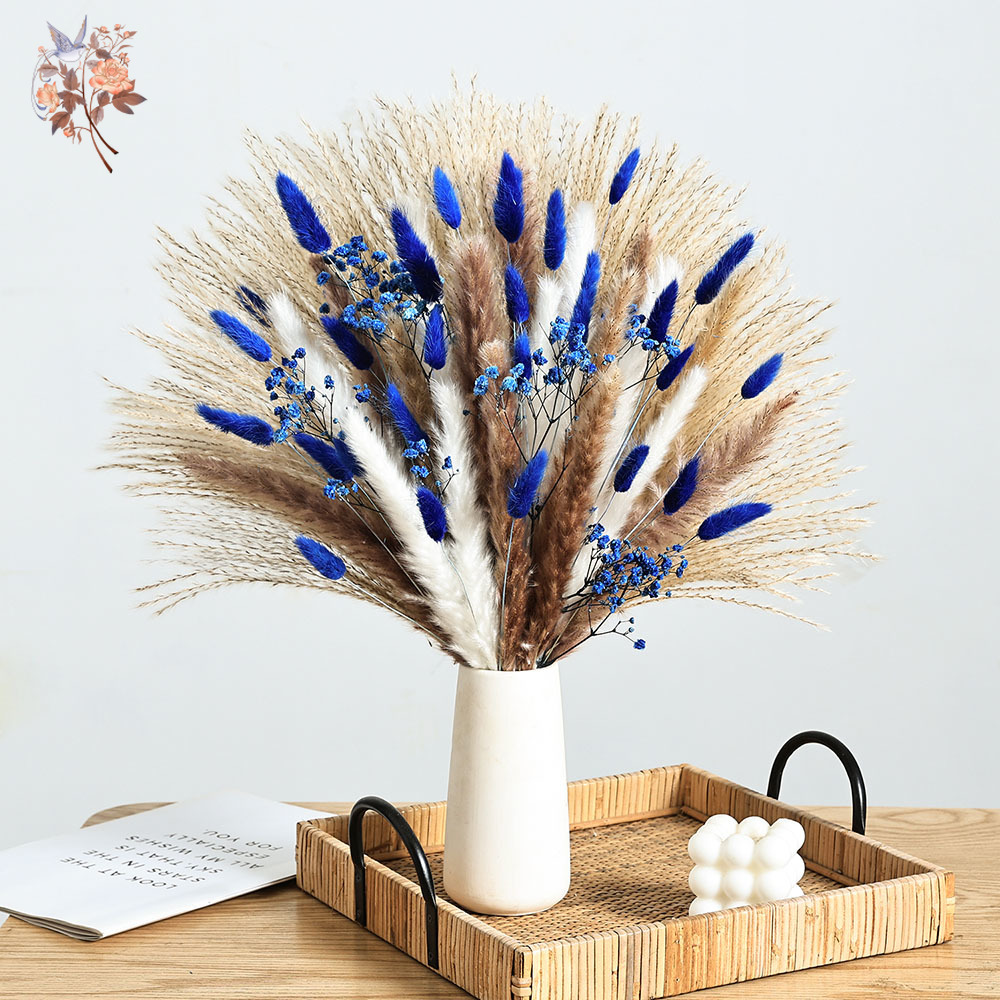 70 Batang Biru Berbulu Ekor Ke - Pampas Grass Decor ulasan dan harga