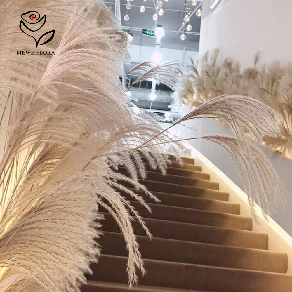 200 Buah Buket Bunga Buluh Hal - Pampas Grass Decor ulasan dan harga