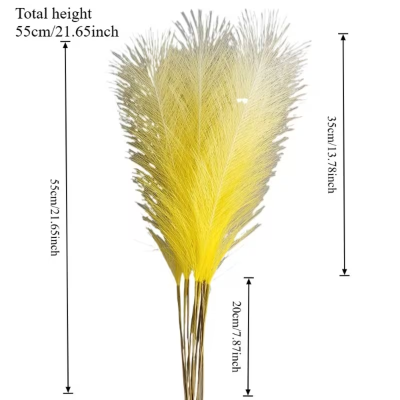 10 Buah Rumput Pampas Berwarna - Pampas Grass Decor ulasan dan harga