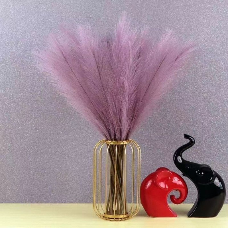 10 buah Pompous rumput buatan  - Pampas Grass Decor ulasan dan harga