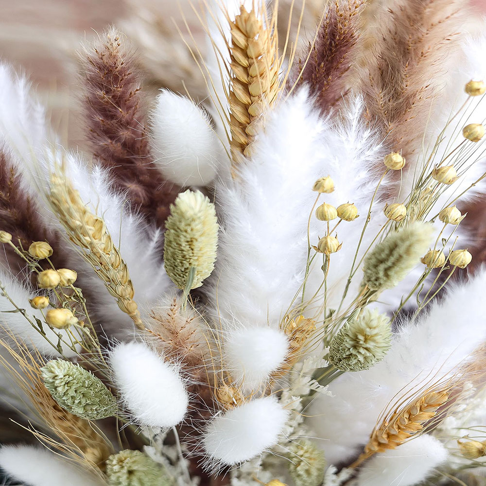100 pcs Buket Rumput Pampas Ke - Pampas Grass Decor ulasan dan harga