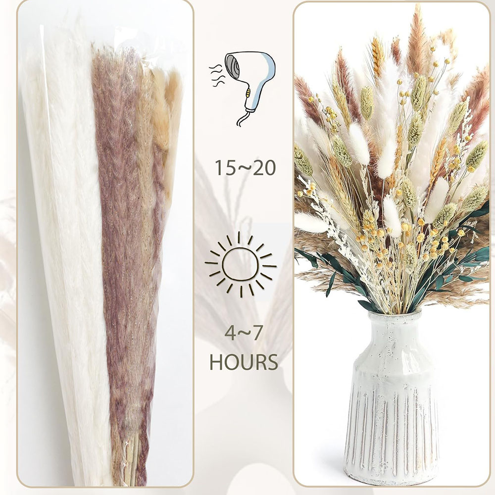 100 pcs Buket Rumput Pampas Ke - Pampas Grass Decor ulasan dan harga