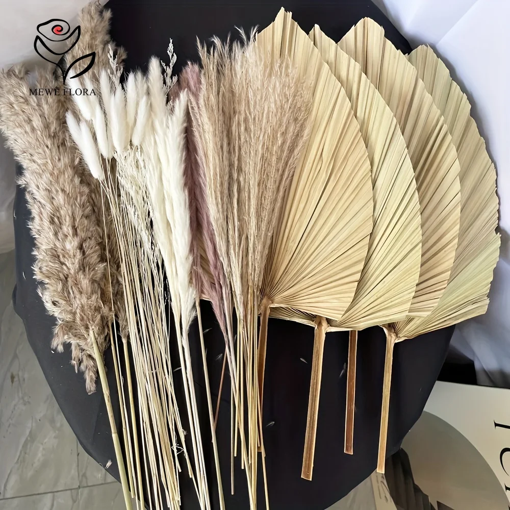 35 buah rumput Pampas alami Bo - Pampas Grass Decor ulasan dan harga