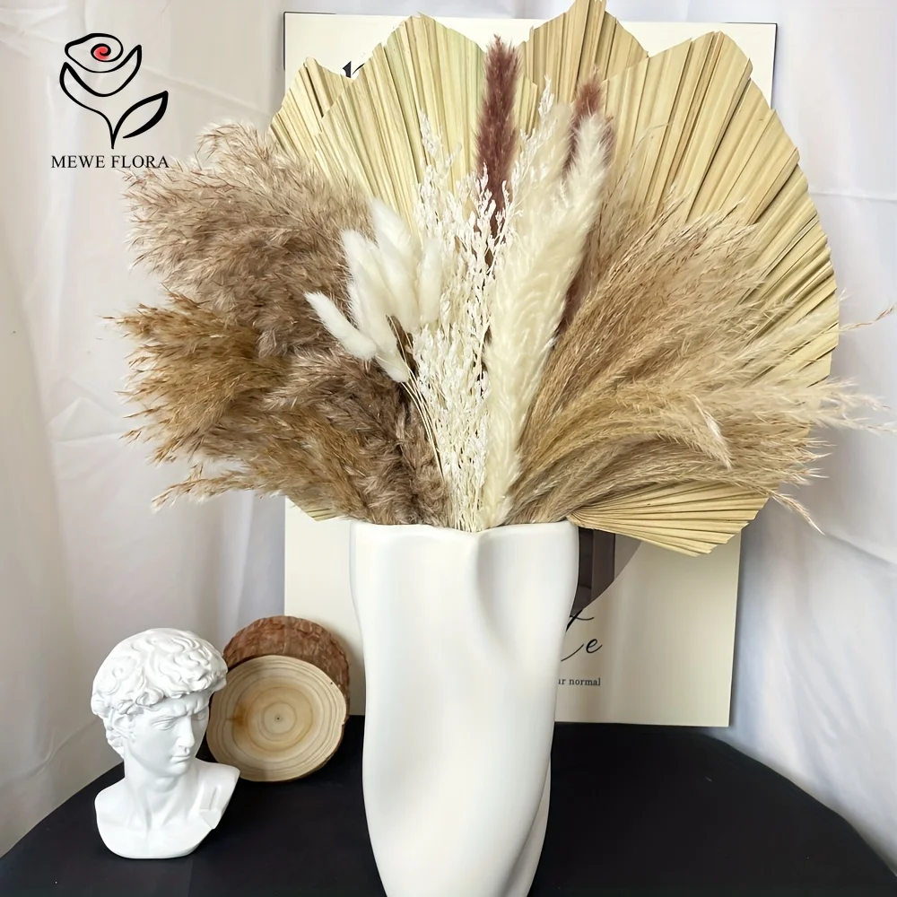 35 buah rumput Pampas alami Bo - Pampas Grass Decor ulasan dan harga