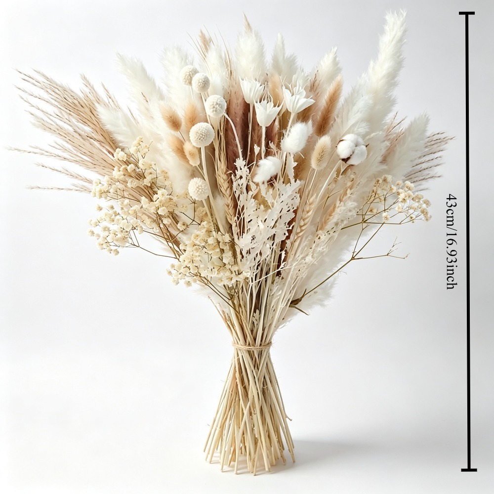 Buket Rumput Pampas Kering Ala - Pampas Grass Decor ulasan dan harga