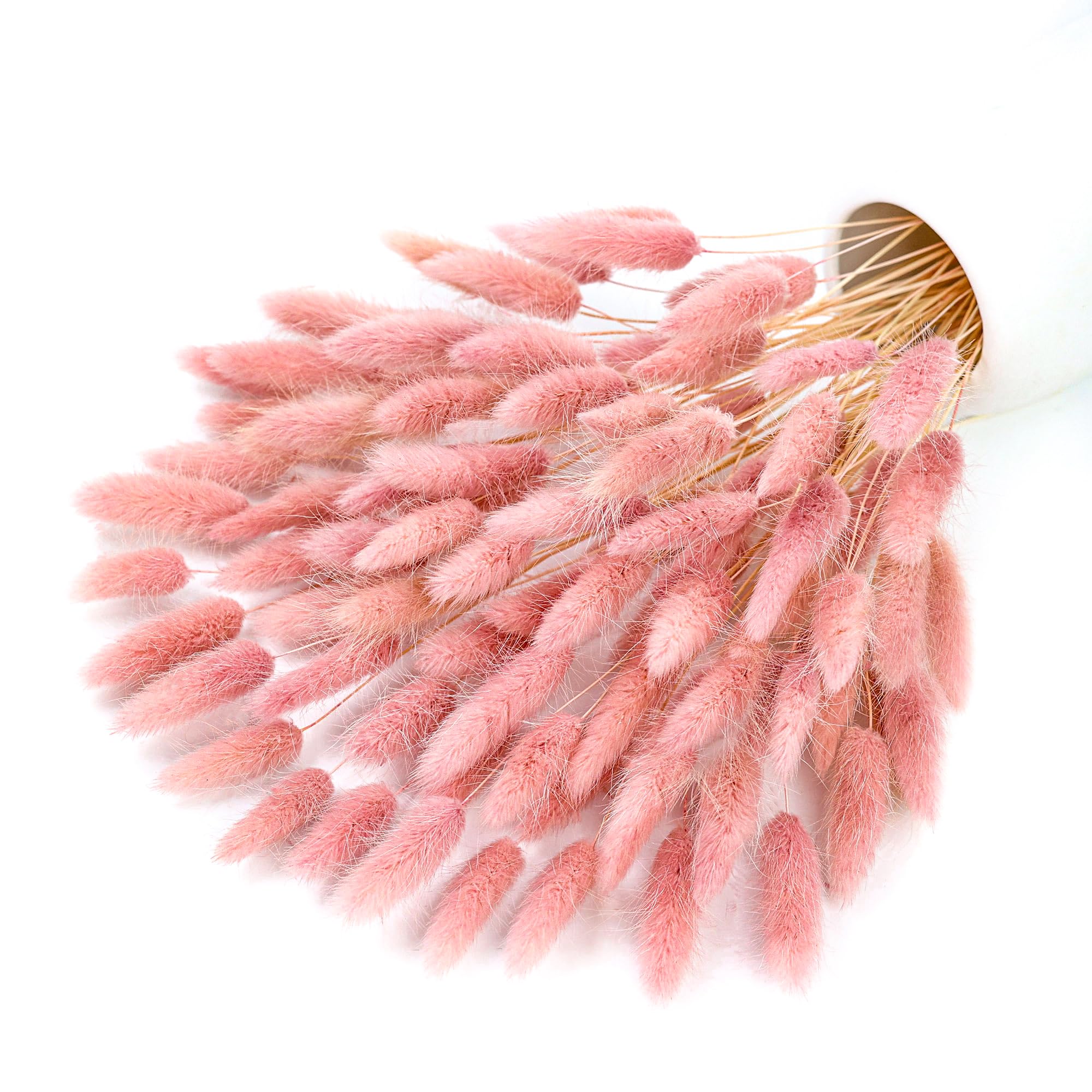 120 Tangkai Rumput Pampas Keri - Pampas Grass Decor ulasan dan harga