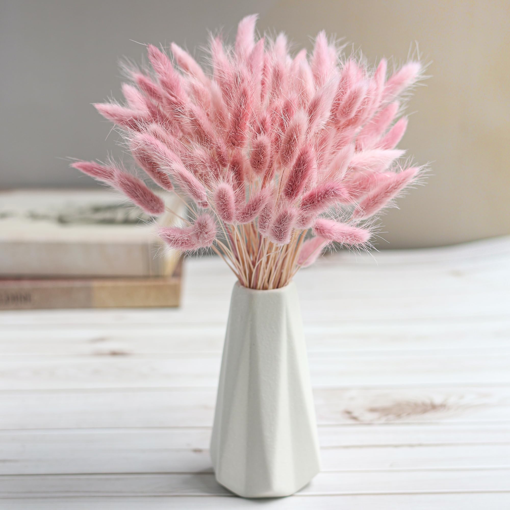 120 Tangkai Rumput Pampas Keri - Pampas Grass Decor ulasan dan harga