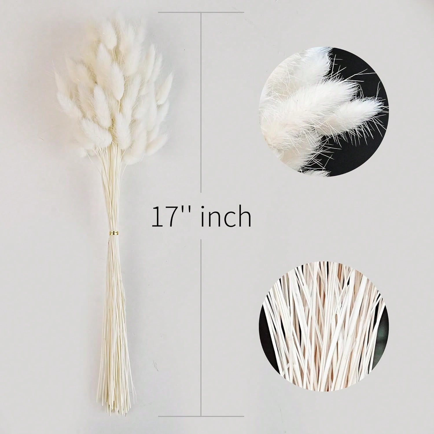 120 Buah Dekorasi Rumput Pampa - Pampas Grass Decor ulasan dan harga