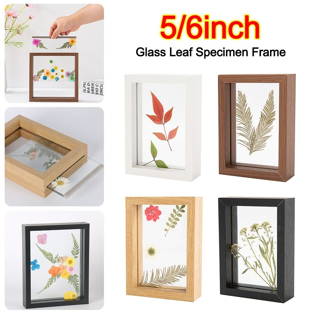 Bingkai Spesimen Daun Kaca Kay - Bamboo Photo Frame ulasan dan harga