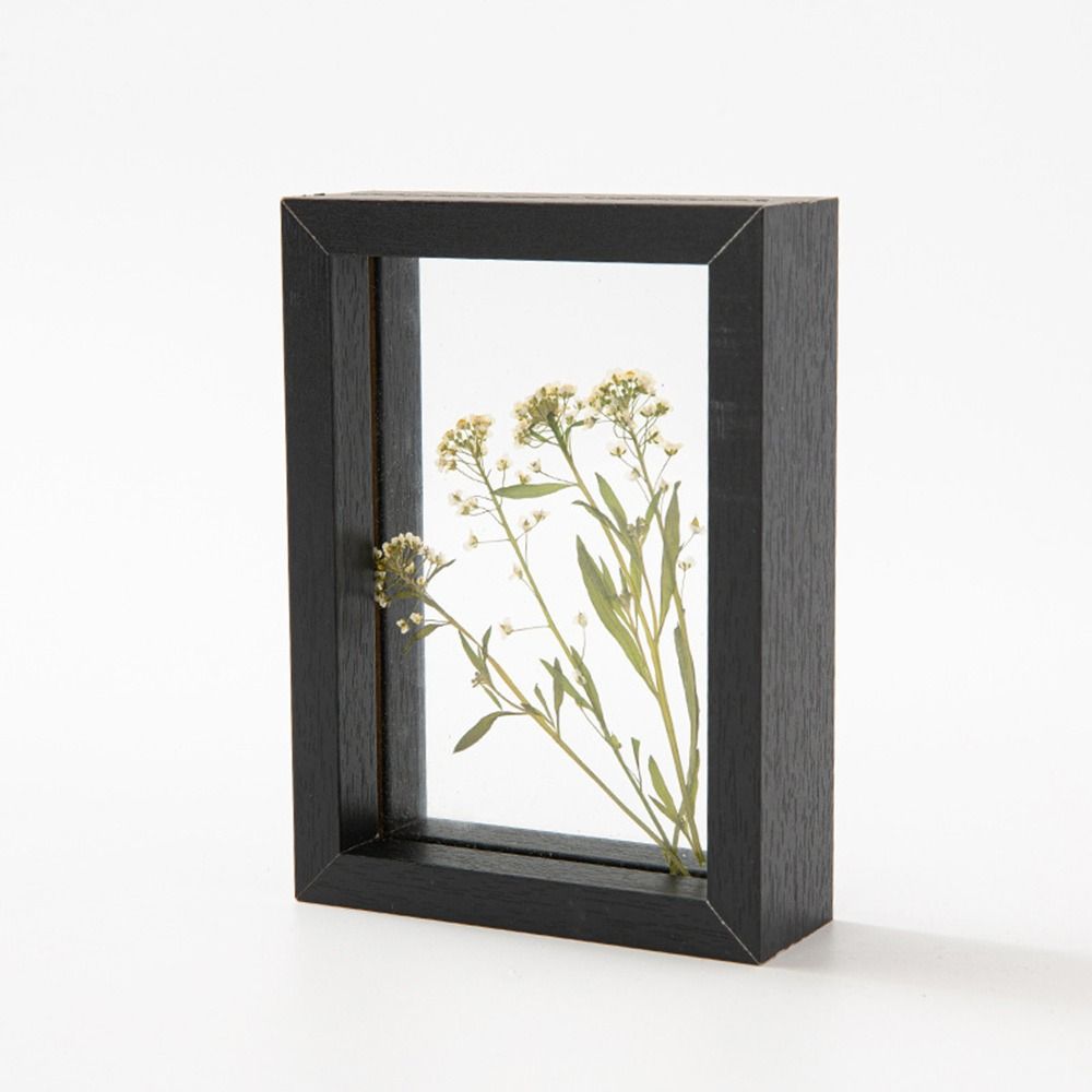 Bingkai Spesimen Daun Kaca Kay - Bamboo Photo Frame ulasan dan harga