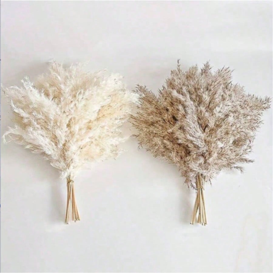 10/20/30 Buah Dekorasi Rumput  - Pampas Grass Decor ulasan dan harga