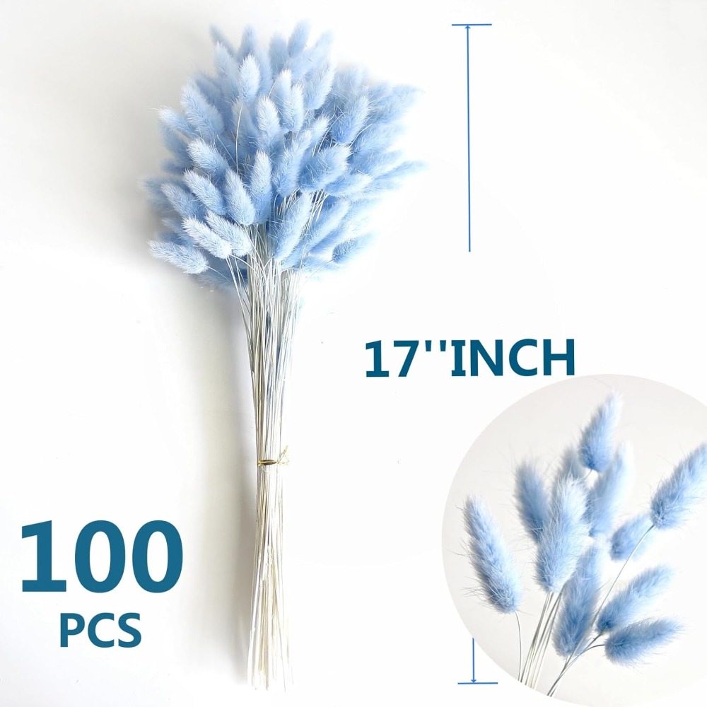 100 Buah Ekor Kelinci Biru Rum - Pampas Grass Decor ulasan dan harga