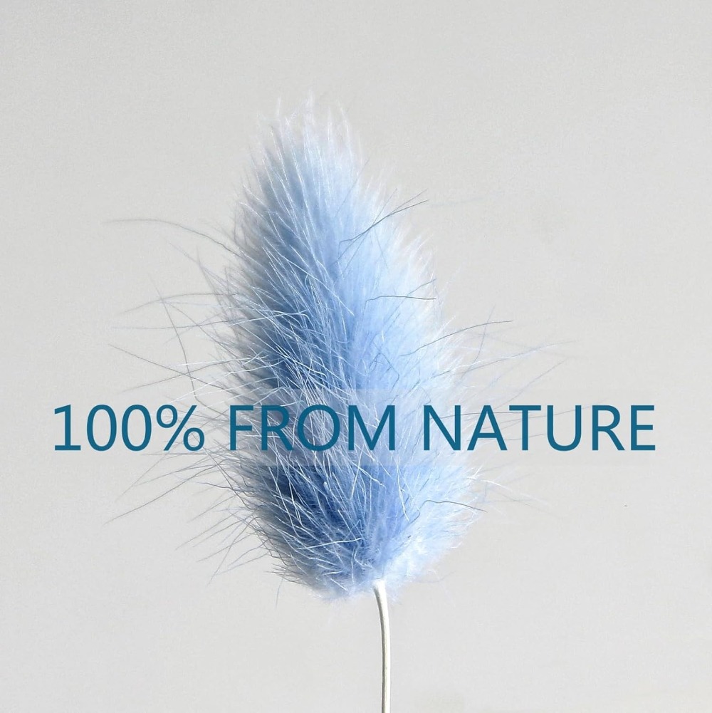 100 Buah Ekor Kelinci Biru Rum - Pampas Grass Decor ulasan dan harga